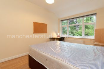 Back Upsatirs Bedroom 