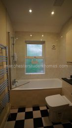 Bathroom 1 (first floor)